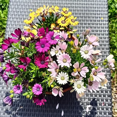 Aska Pansiyon Karpacz