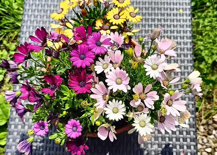 Aska Pansiyon Karpacz