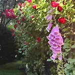 Privat bolig Aska Karpacz