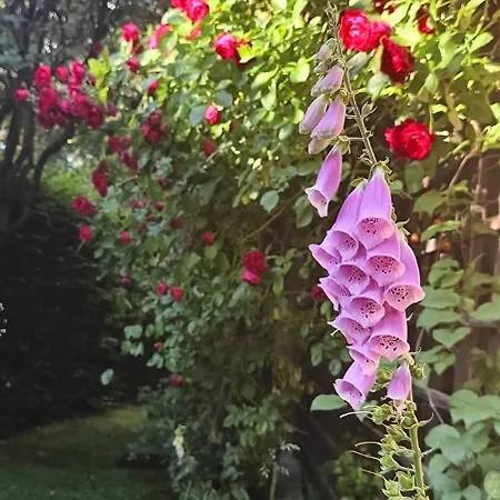 Ubytování v soukromí Aska Karpacz