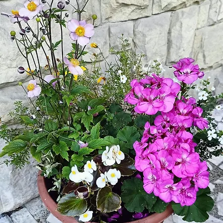 Aska Alloggio in famiglia Karpacz