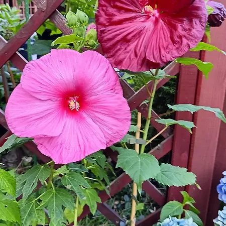 Alloggio in famiglia Aska Karpacz