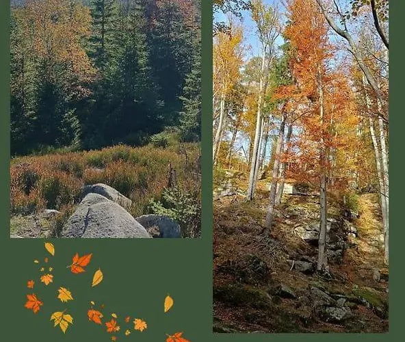 Aska Ubytování v soukromí Karpacz