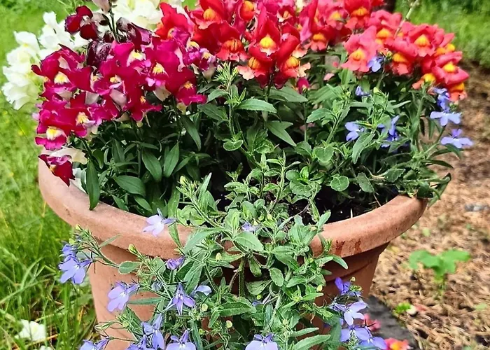 Ubytování v soukromí Aska