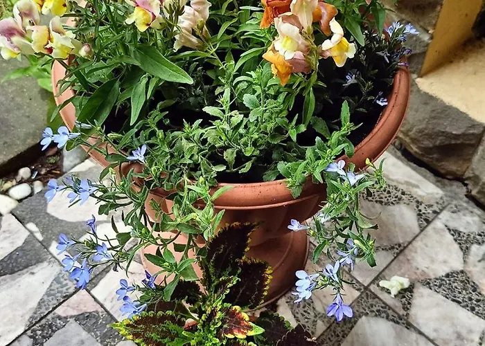 Aska Ubytování v soukromí *