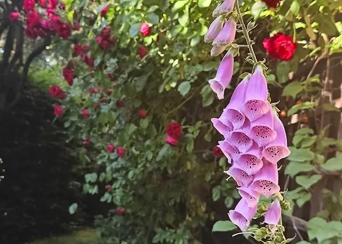 Homestay Aska Karpacz