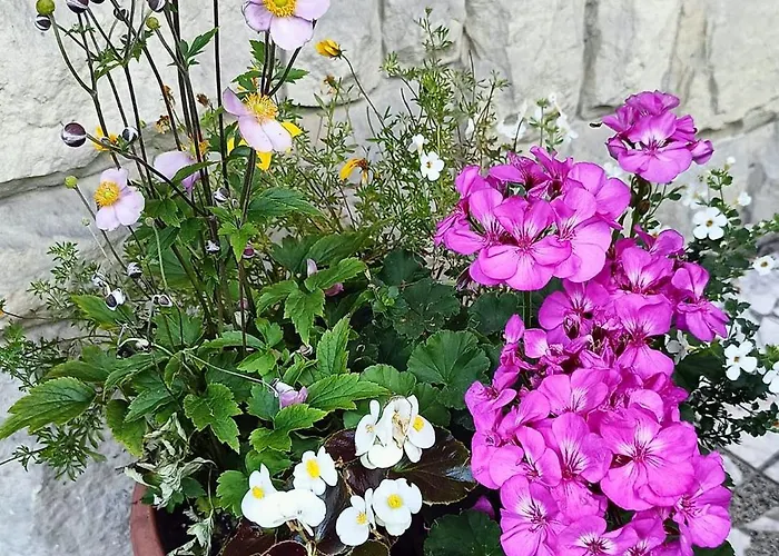 Aska Homestay Karpacz